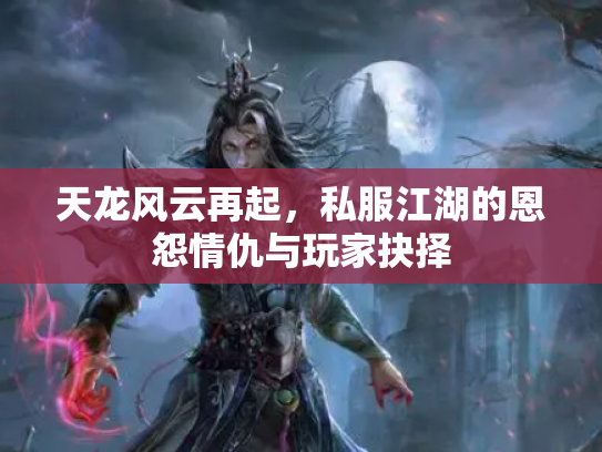 天龙风云再起，私服江湖的恩怨情仇与玩家抉择