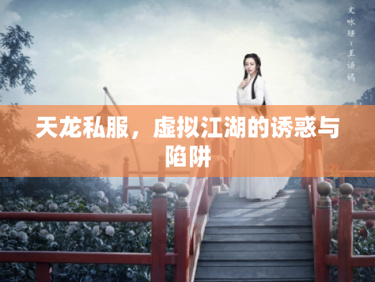 天龙私服，虚拟江湖的诱惑与陷阱