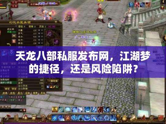 天龙八部私服发布网，江湖梦的捷径，还是风险陷阱？