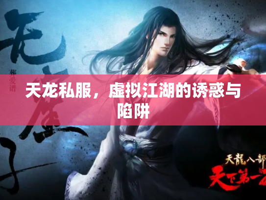 天龙私服，虚拟江湖的诱惑与陷阱