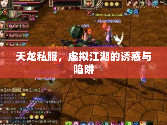 天龙私服，虚拟江湖的诱惑与陷阱