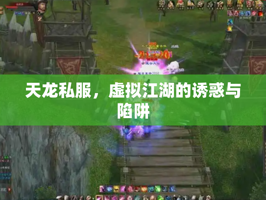 天龙私服，虚拟江湖的诱惑与陷阱