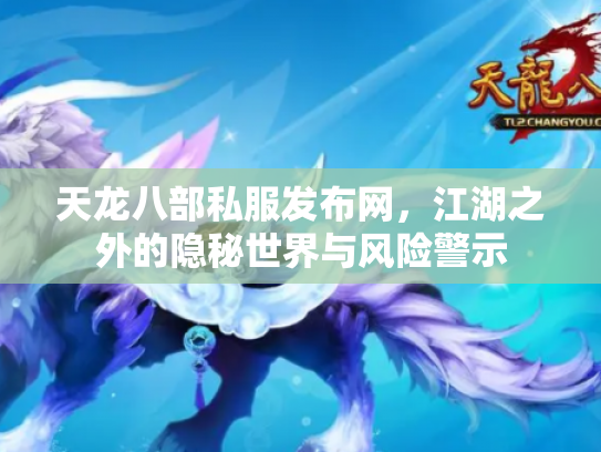 天龙八部私服发布网，江湖之外的隐秘世界与风险警示