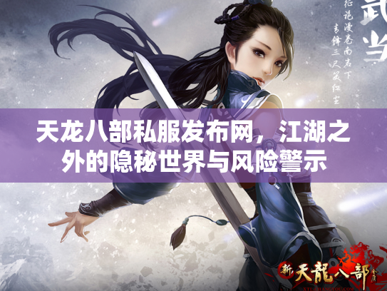 天龙八部私服发布网，江湖之外的隐秘世界与风险警示