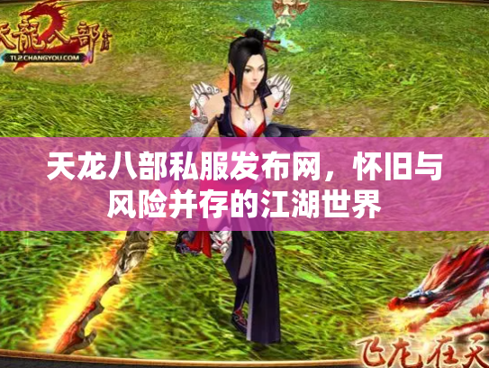 天龙八部私服发布网，怀旧与风险并存的江湖世界