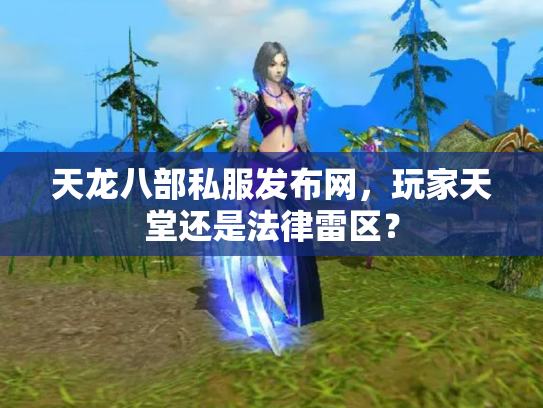 天龙八部私服发布网，玩家天堂还是法律雷区？