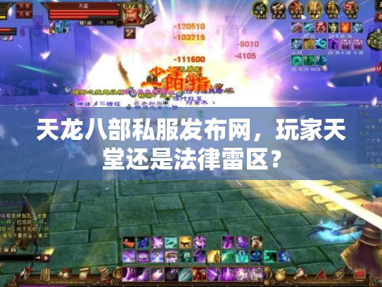 天龙八部私服发布网，玩家天堂还是法律雷区？