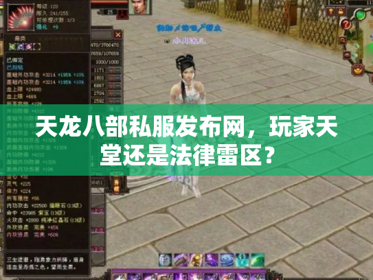 天龙八部私服发布网，玩家天堂还是法律雷区？