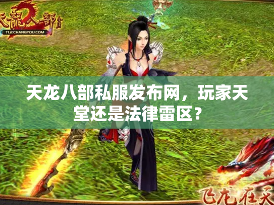 天龙八部私服发布网，玩家天堂还是法律雷区？