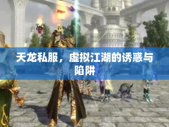 天龙私服，虚拟江湖的诱惑与陷阱