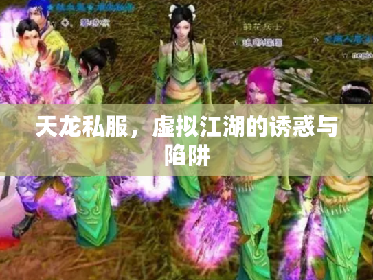 天龙私服,虚拟江湖的诱惑与陷阱 天龙私服,虚拟江湖的诱惑与陷阱