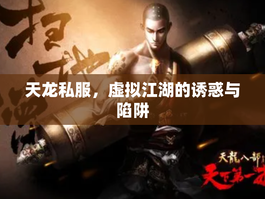 天龙私服,虚拟江湖的诱惑与陷阱 天龙私服,虚拟江湖的诱惑与陷阱