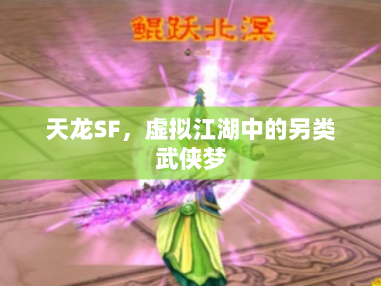 天龙SF，虚拟江湖中的另类武侠梦