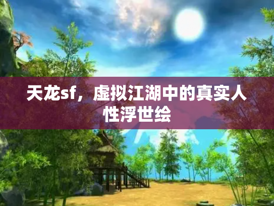 天龙sf,虚拟江湖中的真实人性浮世绘 天龙sf,虚拟江湖中的真实人性浮世绘