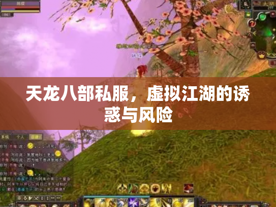 天龙八部私服，虚拟江湖的诱惑与风险