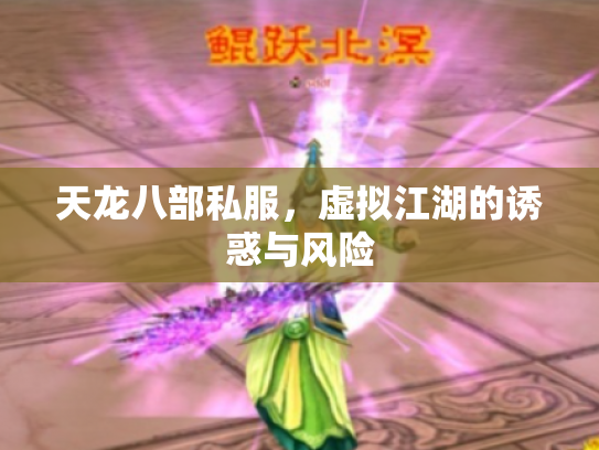 天龙八部私服，虚拟江湖的诱惑与风险