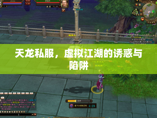 天龙私服,虚拟江湖的诱惑与陷阱 天龙私服,虚拟江湖的诱惑与陷阱