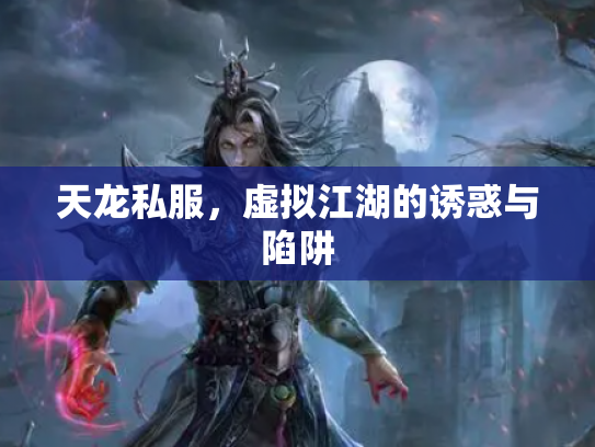 天龙私服,虚拟江湖的诱惑与陷阱 天龙私服,虚拟江湖的诱惑与陷阱