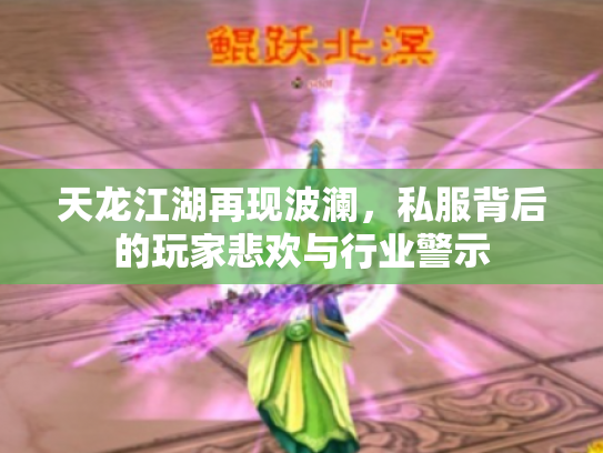 天龙江湖再现波澜,私服背后的玩家悲欢与行业警示 天龙江湖再现波澜,私服背后的玩家悲欢与行业警示
