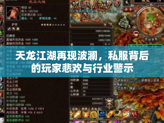 天龙江湖再现波澜,私服背后的玩家悲欢与行业警示 天龙江湖再现波澜,私服背后的玩家悲欢与行业警示