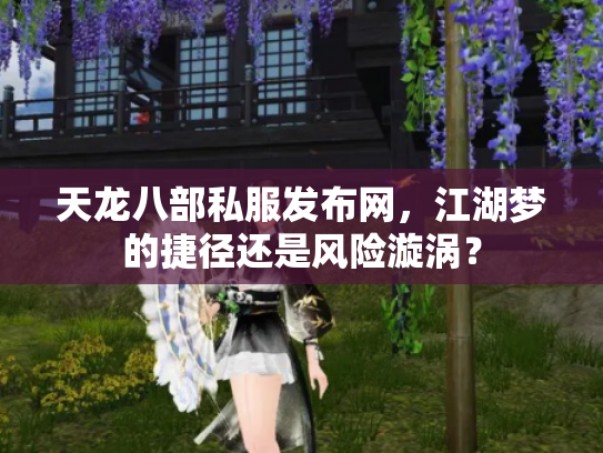 天龙八部私服发布网,江湖梦的捷径还是风险漩涡? 天龙八部私服发布网,江湖梦的捷径还是风险漩涡?