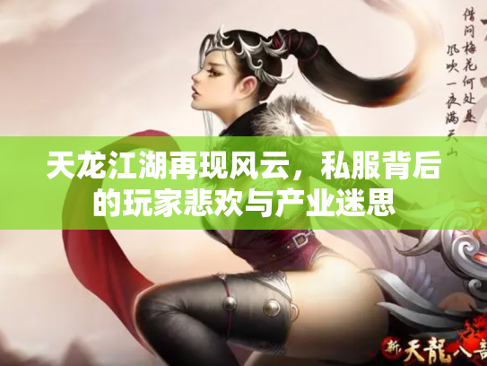 天龙江湖再现风云,私服背后的玩家悲欢与产业迷思 天龙江湖再现风云,私服背后的玩家悲欢与产业迷思