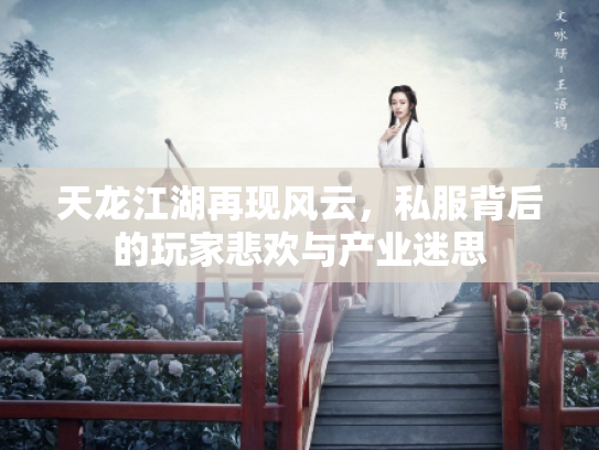天龙江湖再现风云,私服背后的玩家悲欢与产业迷思 天龙江湖再现风云,私服背后的玩家悲欢与产业迷思