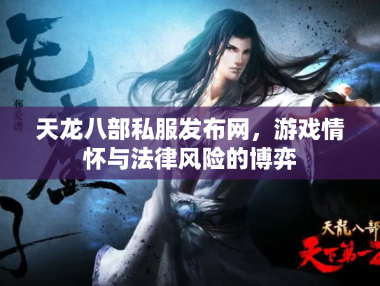 天龙八部私服发布网，游戏情怀与法律风险的博弈