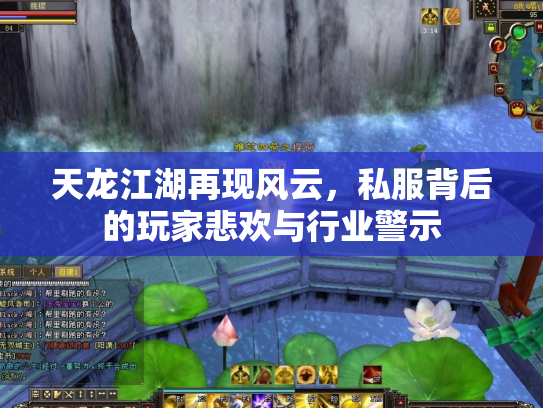 天龙江湖再现风云,私服背后的玩家悲欢与行业警示 天龙江湖再现风云,私服背后的玩家悲欢与行业警示