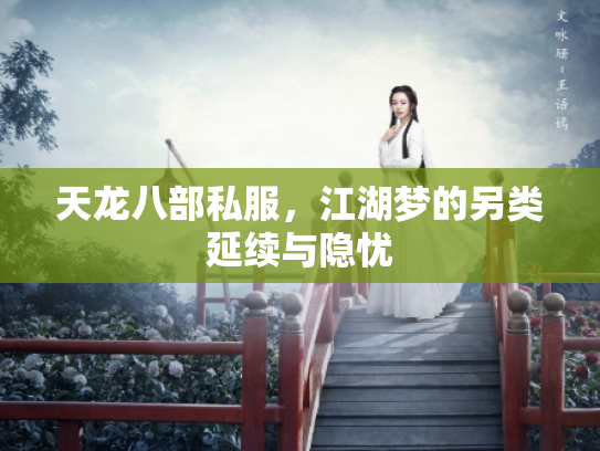 天龙八部私服,江湖梦的另类延续与隐忧 天龙八部私服,江湖梦的另类延续与隐忧