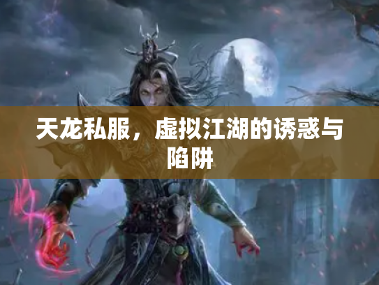 天龙私服,虚拟江湖的诱惑与陷阱 天龙私服,虚拟江湖的诱惑与陷阱