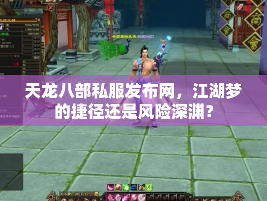 天龙八部私服发布网，江湖梦的捷径还是风险深渊？