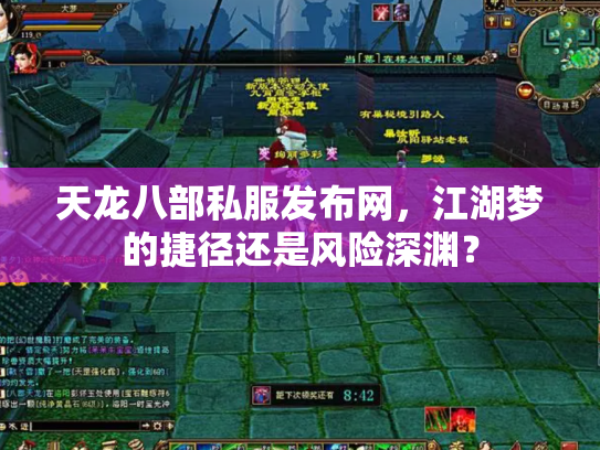 天龙八部私服发布网，江湖梦的捷径还是风险深渊？