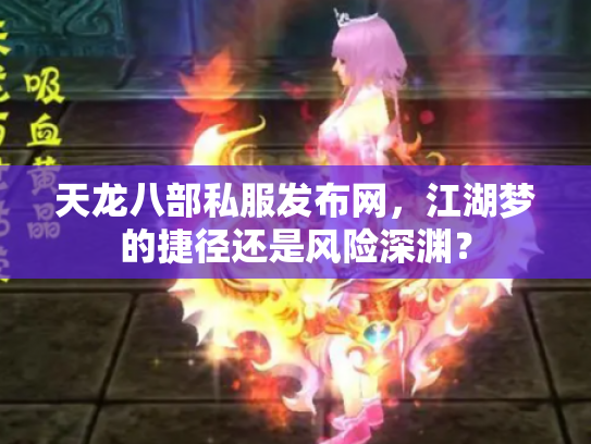 天龙八部私服发布网，江湖梦的捷径还是风险深渊？