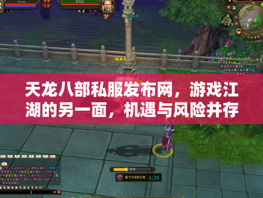 天龙八部私服发布网，游戏江湖的另一面，机遇与风险并存