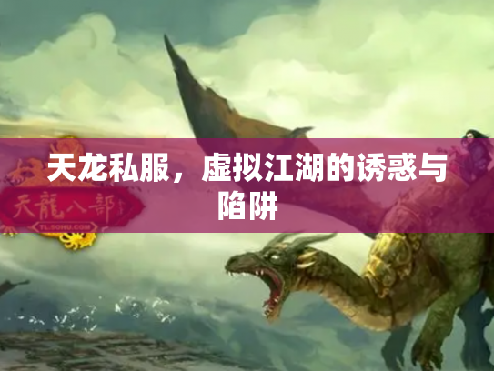 天龙私服,虚拟江湖的诱惑与陷阱 天龙私服,虚拟江湖的诱惑与陷阱