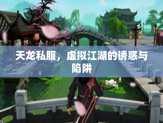 天龙私服,虚拟江湖的诱惑与陷阱 天龙私服,虚拟江湖的诱惑与陷阱