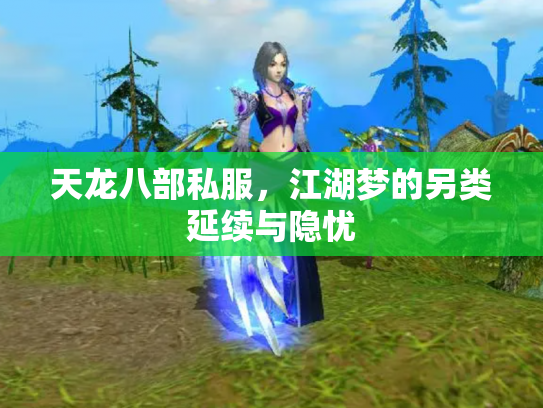 天龙八部私服,江湖梦的另类延续与隐忧 天龙八部私服,江湖梦的另类延续与隐忧