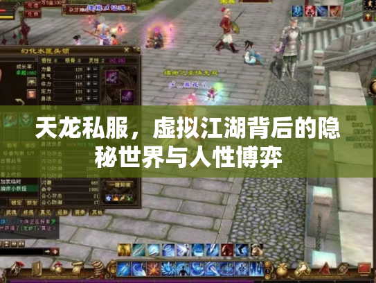 天龙私服,虚拟江湖背后的隐秘世界与人性博弈 天龙私服,虚拟江湖背后的隐秘世界与人性博弈