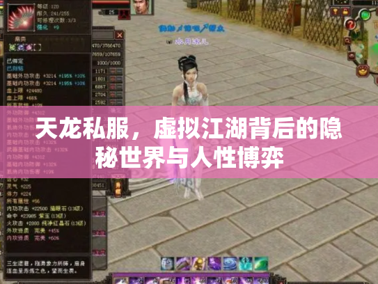 天龙私服,虚拟江湖背后的隐秘世界与人性博弈 天龙私服,虚拟江湖背后的隐秘世界与人性博弈
