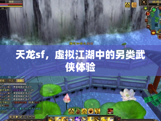 天龙sf，虚拟江湖中的另类武侠体验