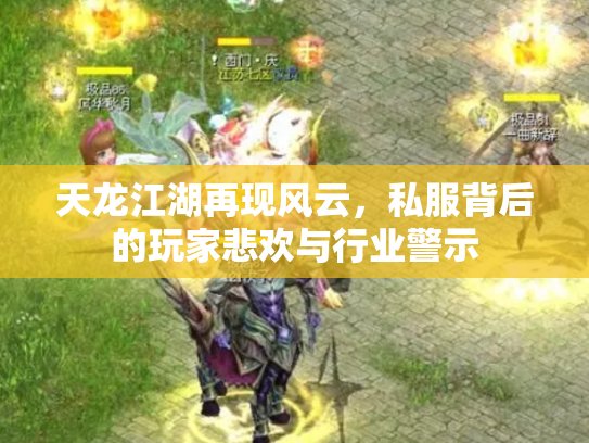 天龙江湖再现风云,私服背后的玩家悲欢与行业警示 天龙江湖再现风云,私服背后的玩家悲欢与行业警示