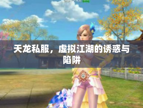 天龙私服,虚拟江湖的诱惑与陷阱 天龙私服,虚拟江湖的诱惑与陷阱