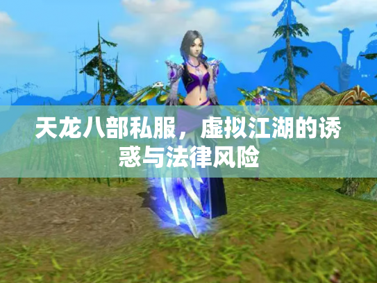 天龙八部私服，虚拟江湖的诱惑与法律风险