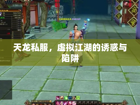 天龙私服，虚拟江湖的诱惑与陷阱