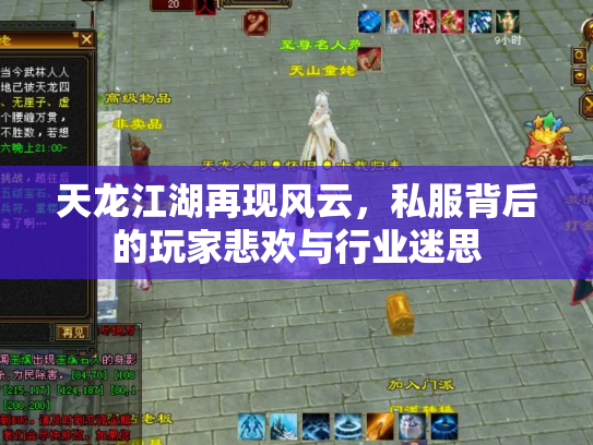 天龙江湖再现风云,私服背后的玩家悲欢与行业迷思 天龙江湖再现风云,私服背后的玩家悲欢与行业迷思