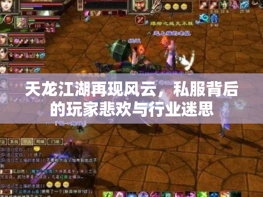 天龙江湖再现风云,私服背后的玩家悲欢与行业迷思 天龙江湖再现风云,私服背后的玩家悲欢与行业迷思