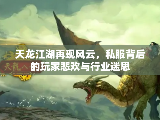 天龙江湖再现风云,私服背后的玩家悲欢与行业迷思 天龙江湖再现风云,私服背后的玩家悲欢与行业迷思