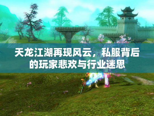 天龙江湖再现风云,私服背后的玩家悲欢与行业迷思 天龙江湖再现风云,私服背后的玩家悲欢与行业迷思