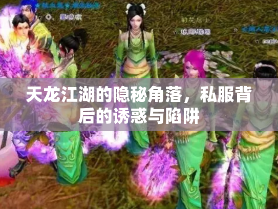 天龙江湖的隐秘角落,私服背后的诱惑与陷阱 天龙江湖的隐秘角落,私服背后的诱惑与陷阱